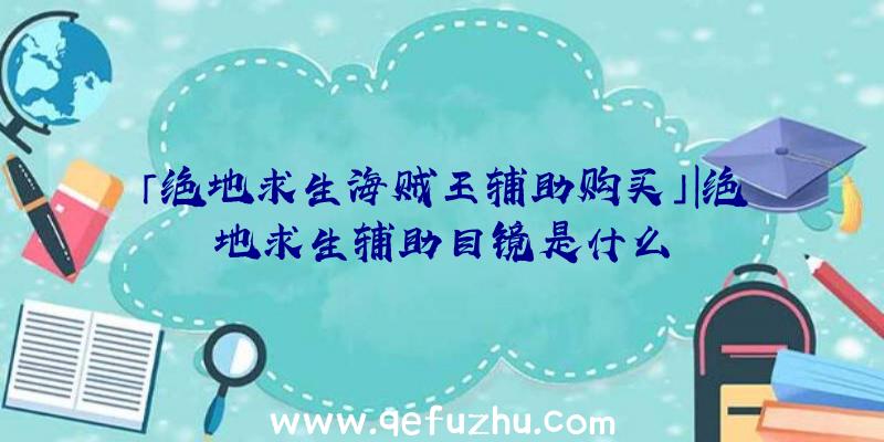 「绝地求生海贼王辅助购买」|绝地求生辅助目镜是什么